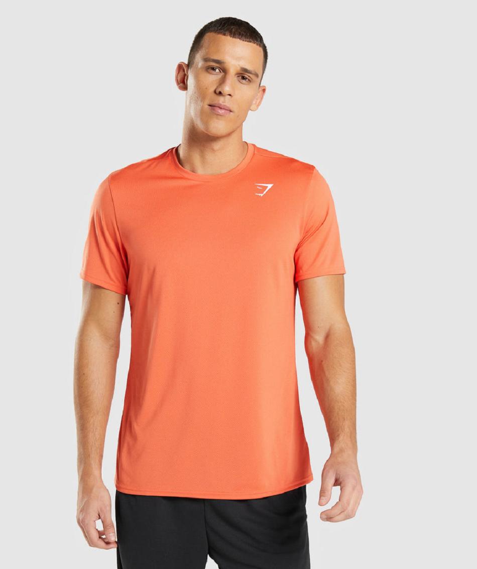 T Shirts Męskie Gymshark Arrival Pomarańczowe | PL 3897AHK